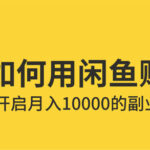 普通人如何利用咸鱼上赚钱的，开启月入10000+副业-有为创业网