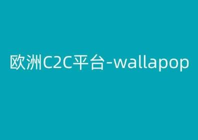 欧洲C2C平台-wallapop-kim跨境电商教程-有为创业网