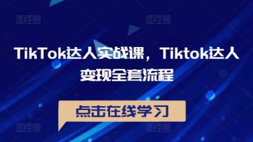 TikTok达人实战课，Tiktok达人变现全套流程-有为创业网