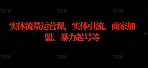 实体流量运营课，实体引流、商家加盟、暴力起号等-有为创业网