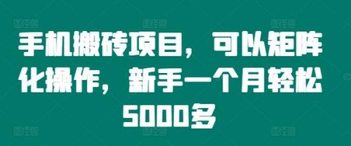 手机搬砖项目，可以矩阵化操作，新手一个月轻松5000多-有为创业网