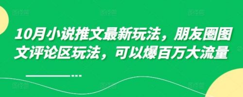 10月小说推文最新玩法，朋友圈图文评论区玩法，可以爆百万大流量-有为创业网