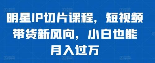 明星IP切片课程，短视频带货新风向，小白也能月入过万-有为创业网