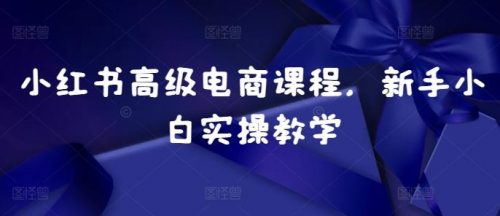 小红书高级电商课程，新手小白实操教学-有为创业网