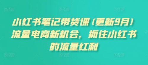 小红书笔记带货课(更新11月)流量电商新机会，抓住小红书的流量红利-有为创业网