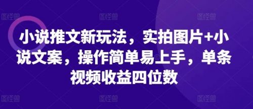 小说推文新玩法，实拍图片 小说文案，操作简单易上手，单条视频收益四位数-有为创业网