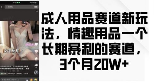 成人用品赛道新玩法，情趣用品一个长期暴利的赛道，3个月收益20个【揭秘】-有为创业网