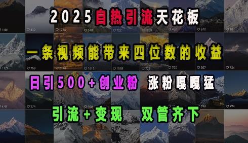 2025自热引流天花板，一条视频能带来四位数的收益，引流 变现双管齐下，日引500多 创业粉，涨粉嘎嘎猛-有为创业网